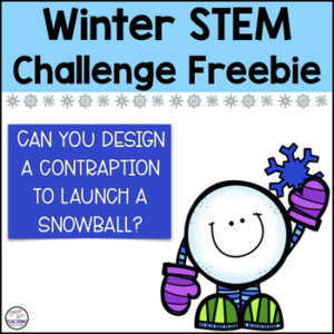 Winter STEM Challenge